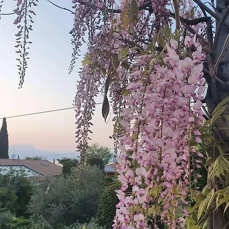 Molo - Residenza Con Accesso Diretto Al Tatil Evi Lazise